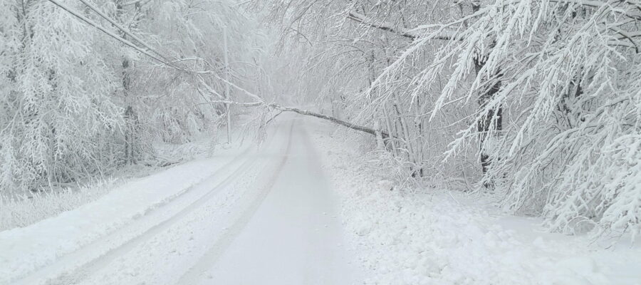 2024 snow storm, Nobleboro, Maine.